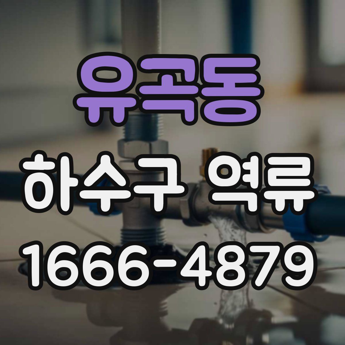유곡동 하수구 역류