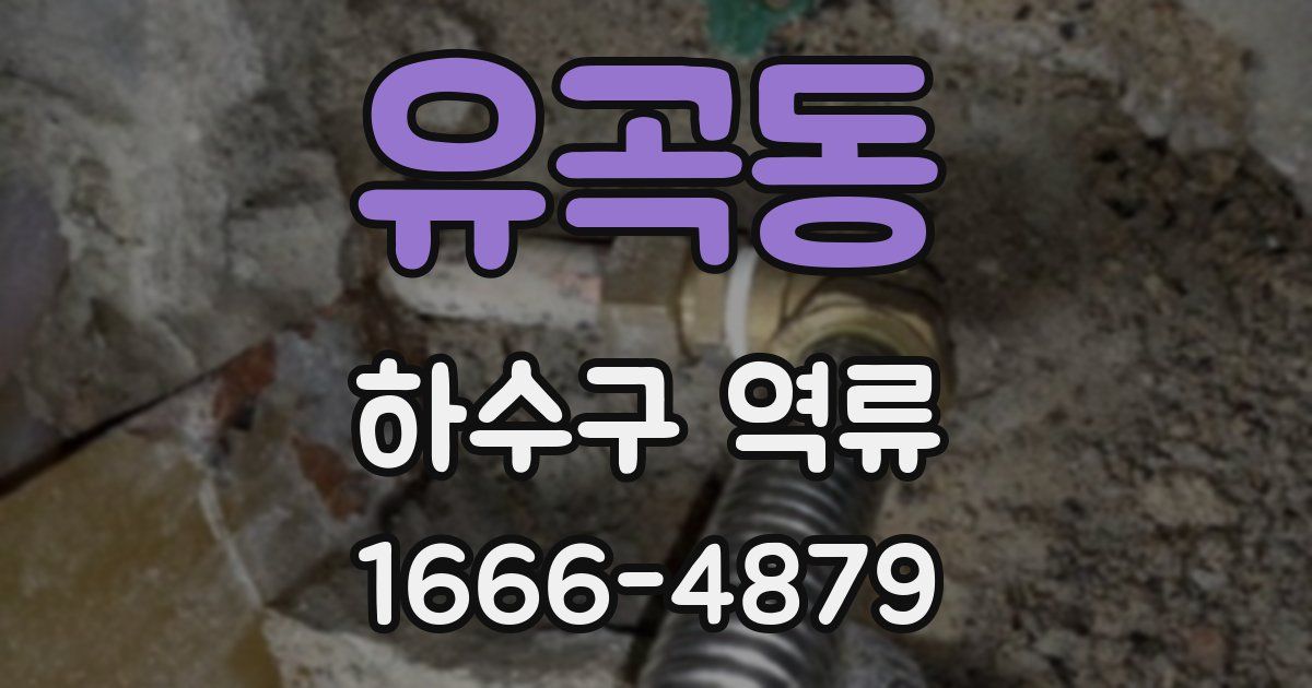 유곡동 하수구 역류