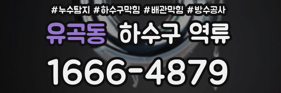 유곡동 하수구 역류