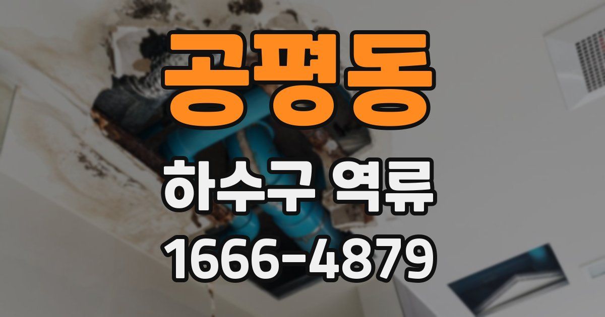 공평동 하수구 역류
