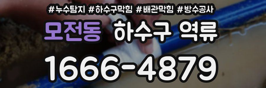 모전동 하수구 역류
