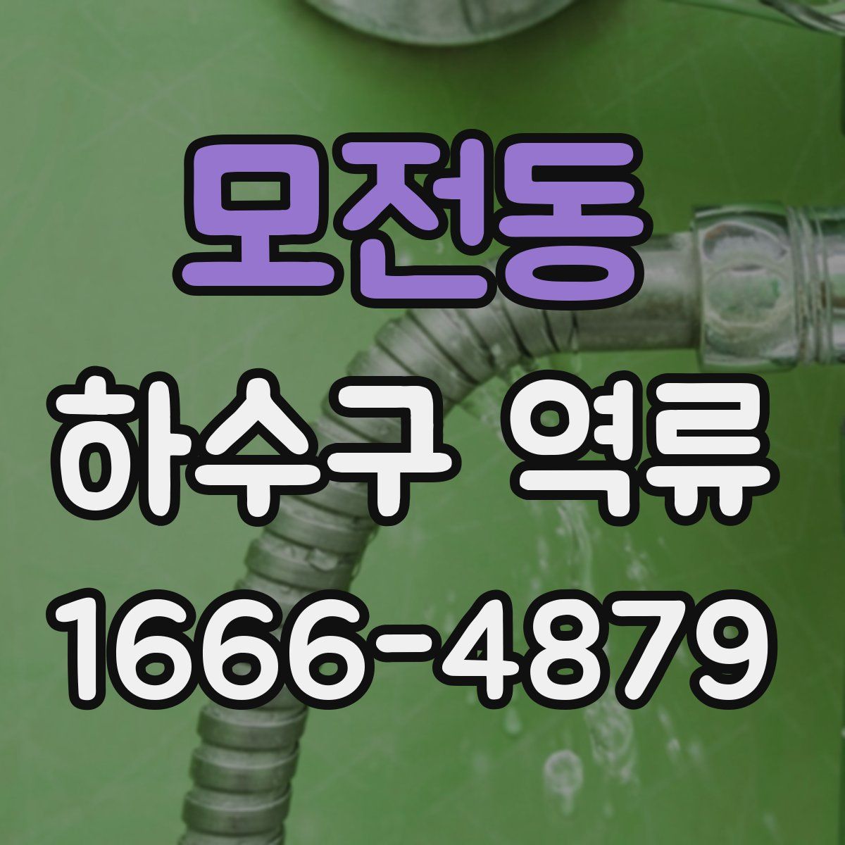 모전동 하수구 역류