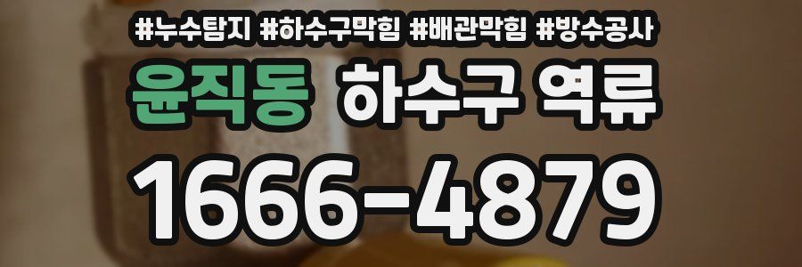 윤직동 하수구 역류
