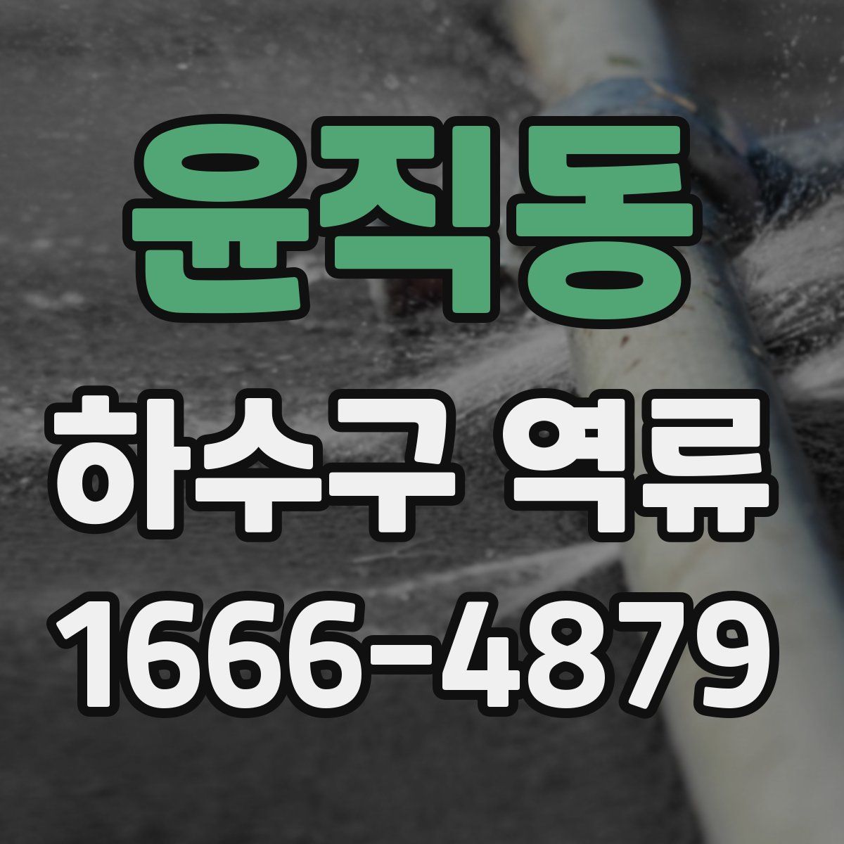 윤직동 하수구 역류