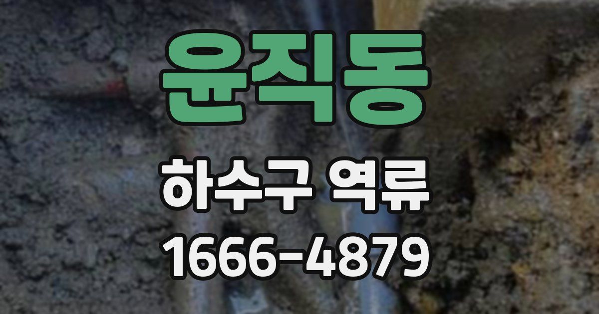 윤직동 하수구 역류