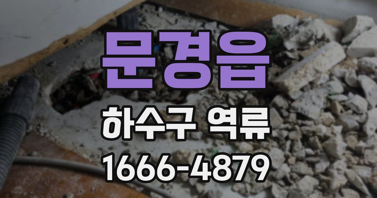 문경읍 하수구 역류