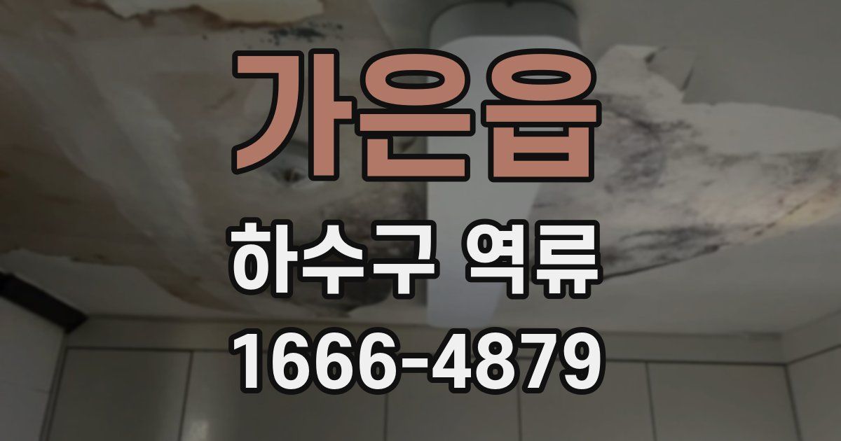 가은읍 하수구 역류