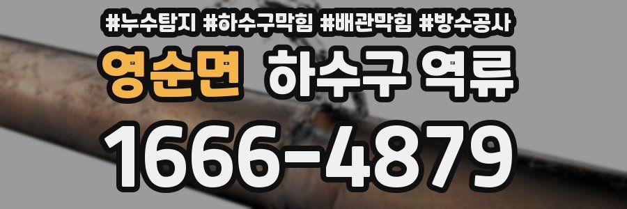 영순면 하수구 역류