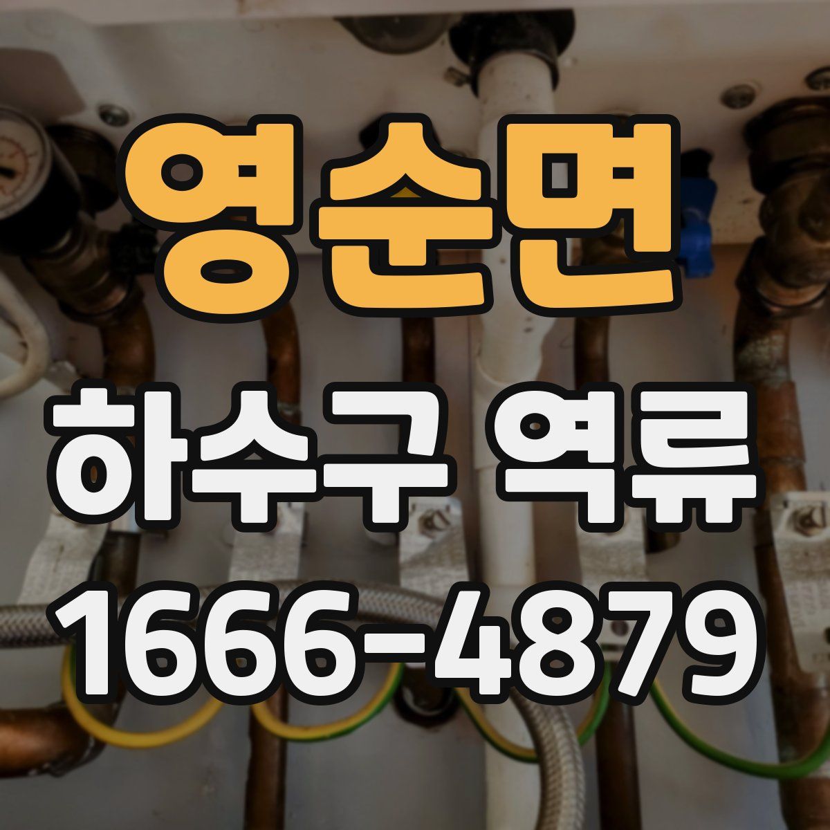 영순면 하수구 역류
