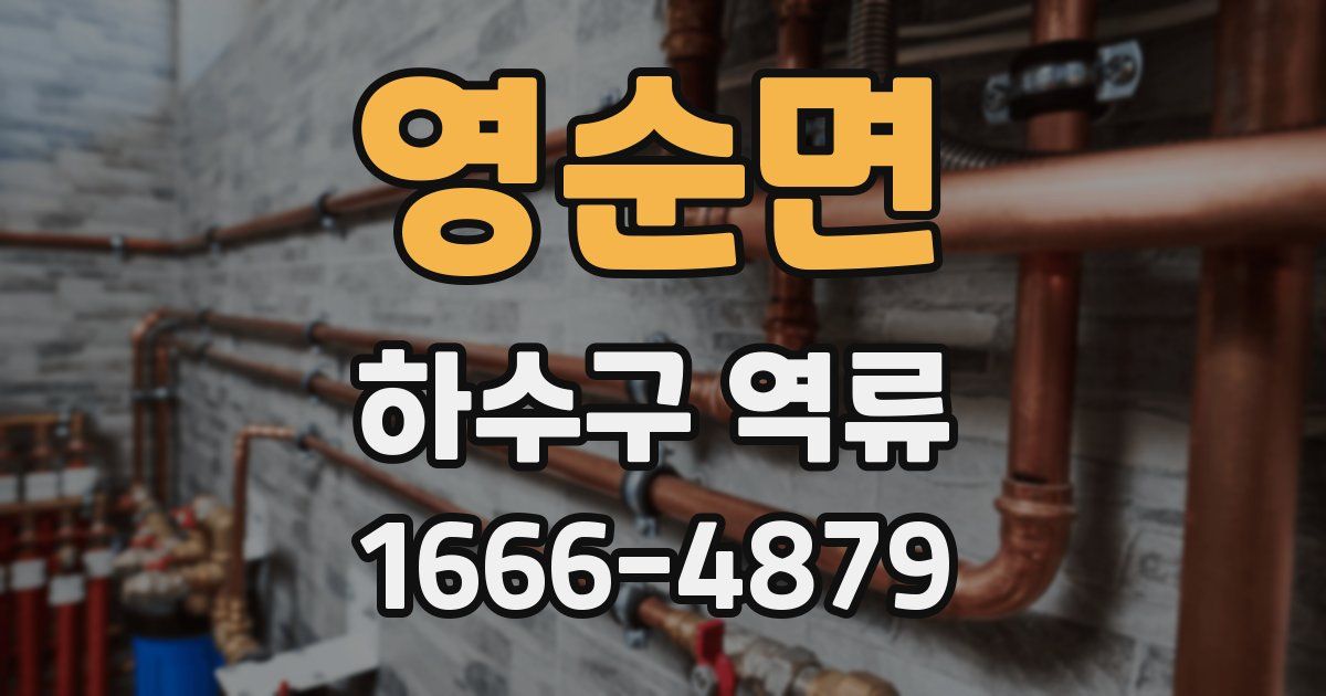 영순면 하수구 역류