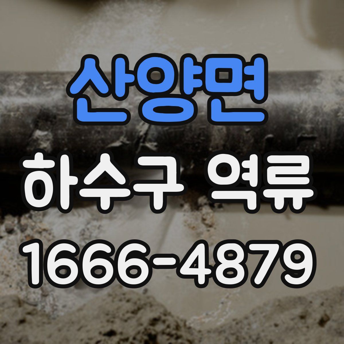 산양면 하수구 역류