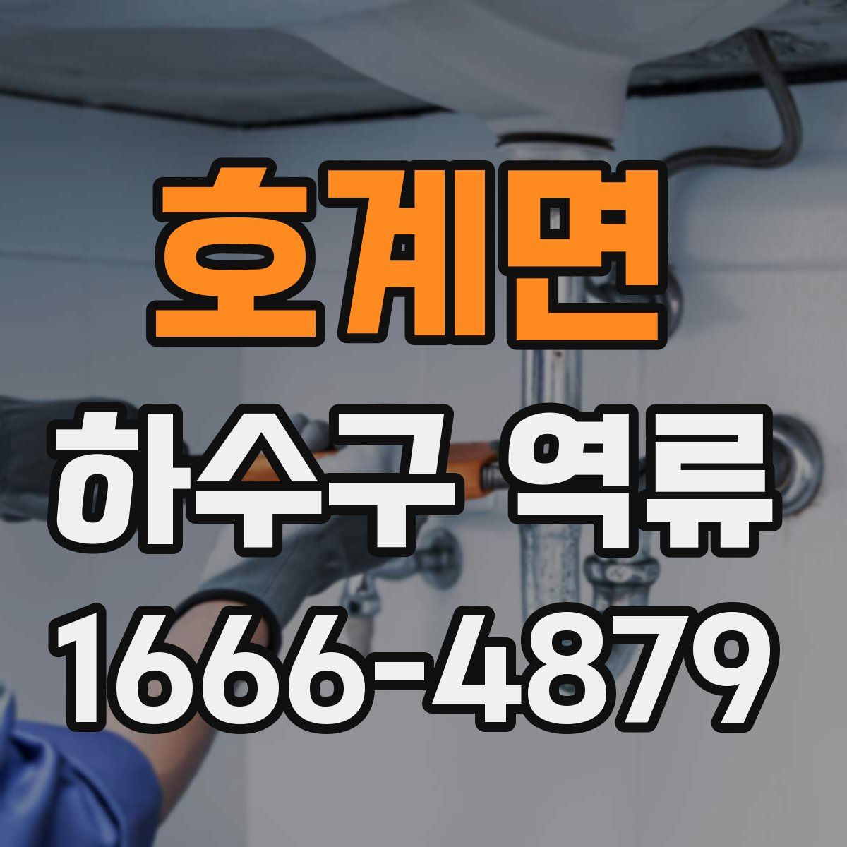 호계면 하수구 역류