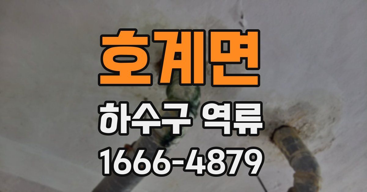 호계면 하수구 역류