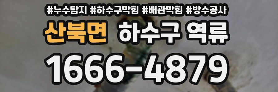 산북면 하수구 역류
