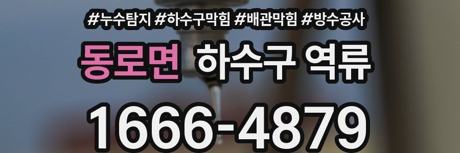 동로면 하수구 역류