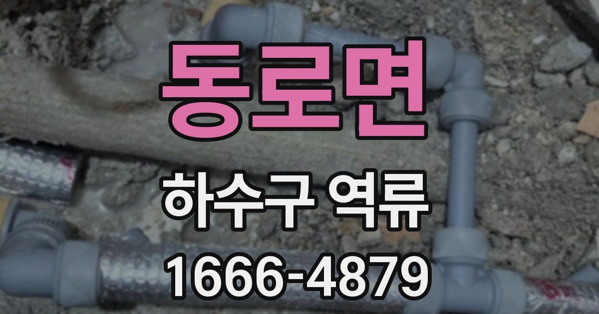 동로면 하수구 역류
