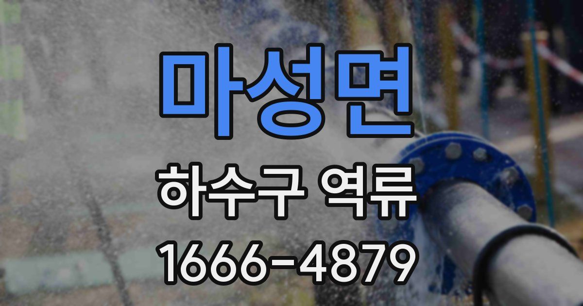 마성면 하수구 역류
