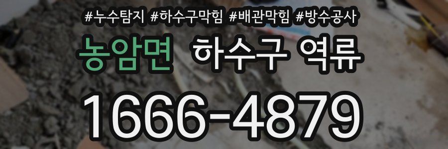 농암면 하수구 역류