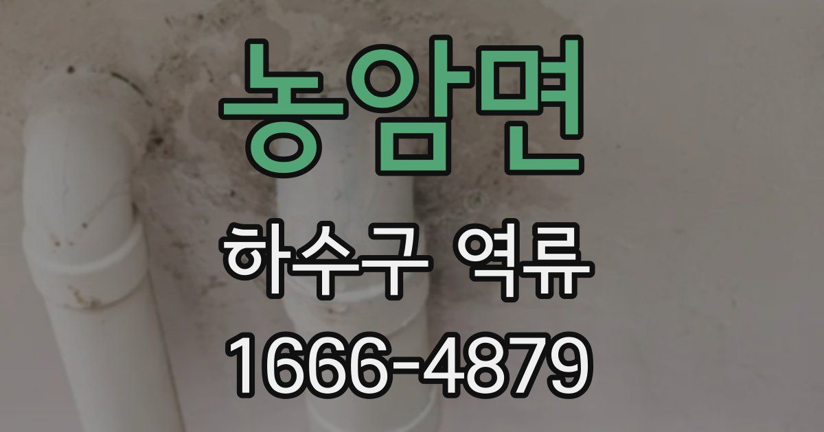 농암면 하수구 역류