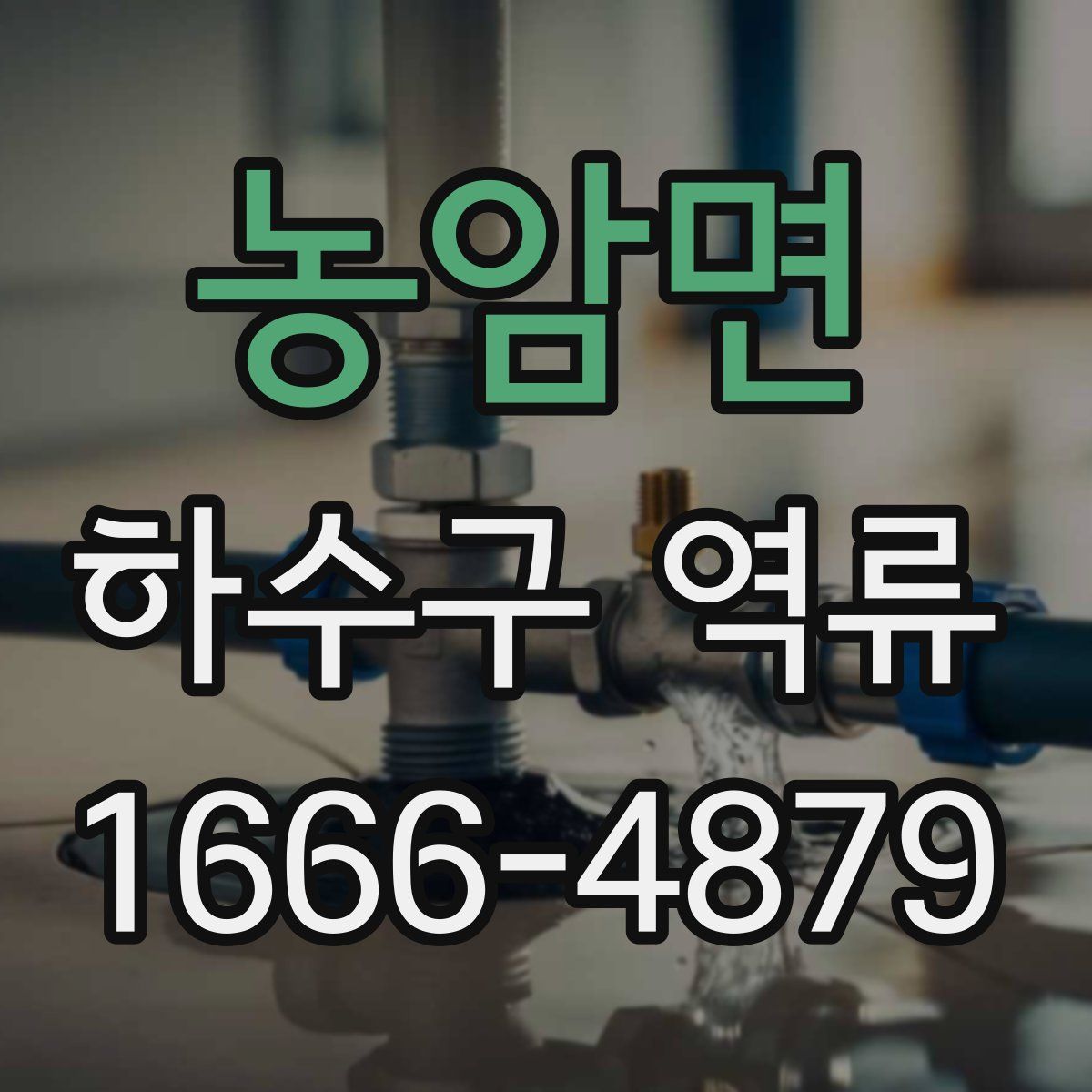 농암면 하수구 역류