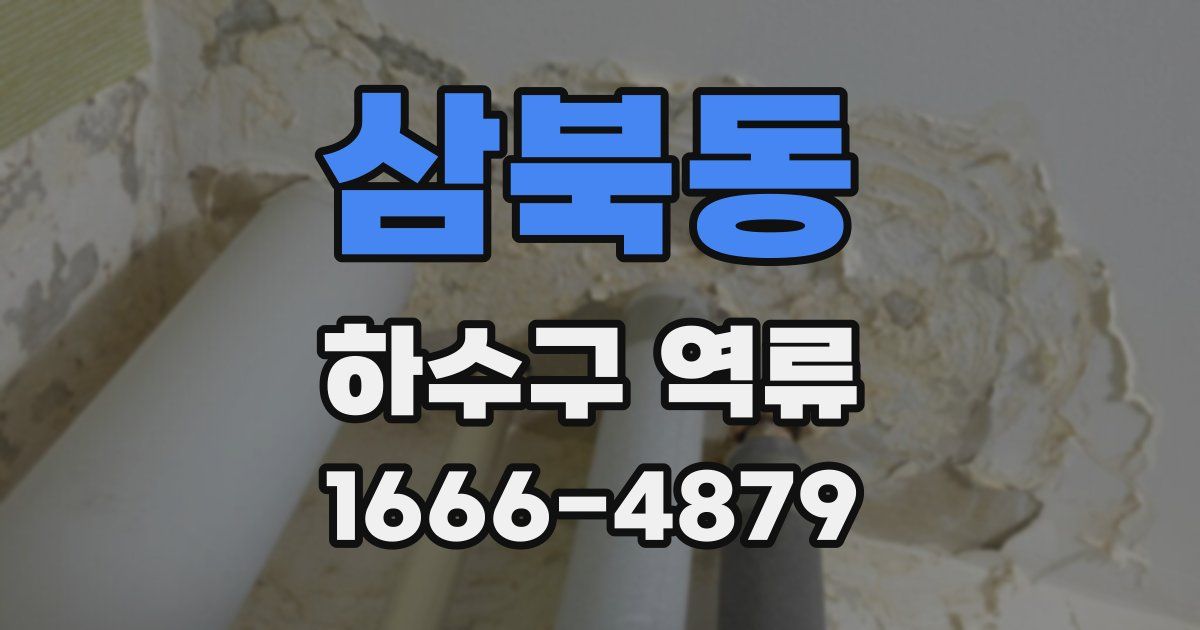 삼북동 하수구 역류