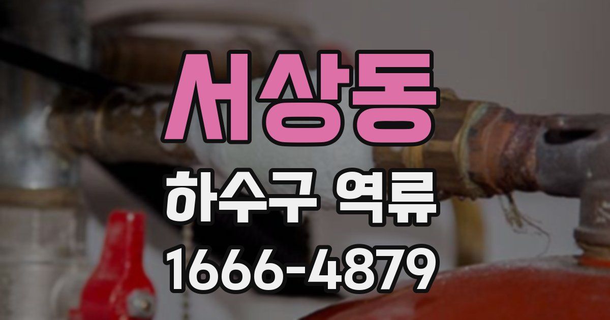서상동 하수구 역류