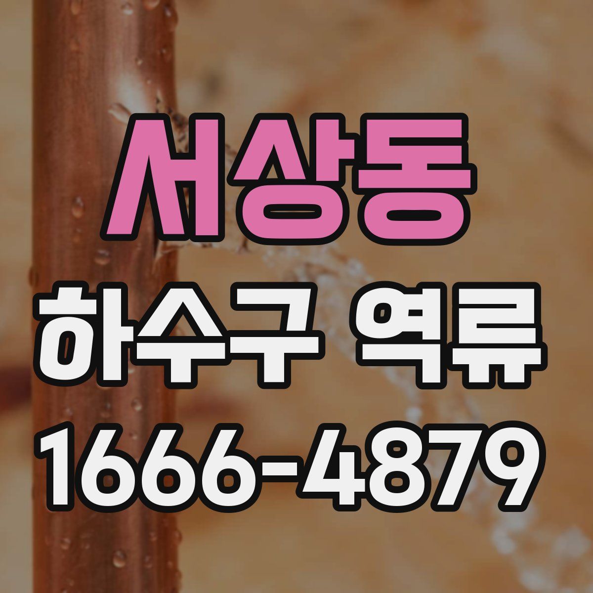 서상동 하수구 역류