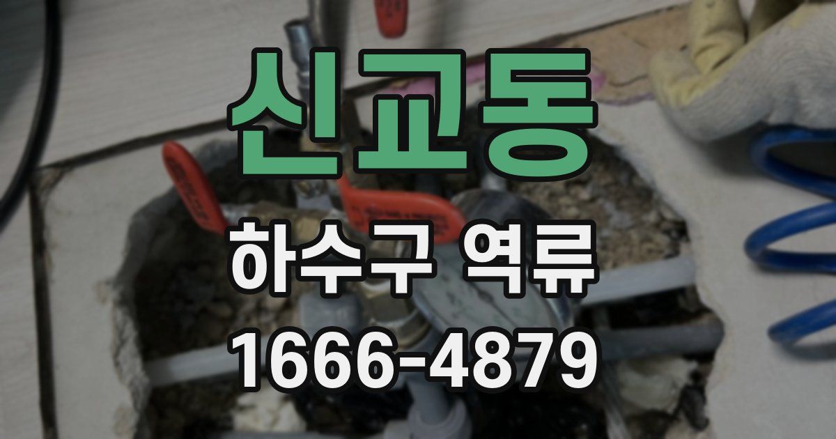 신교동 하수구 역류