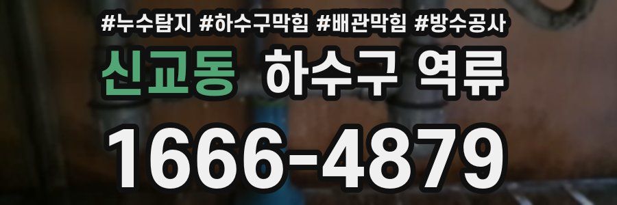 신교동 하수구 역류