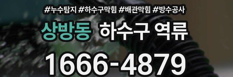 상방동 하수구 역류
