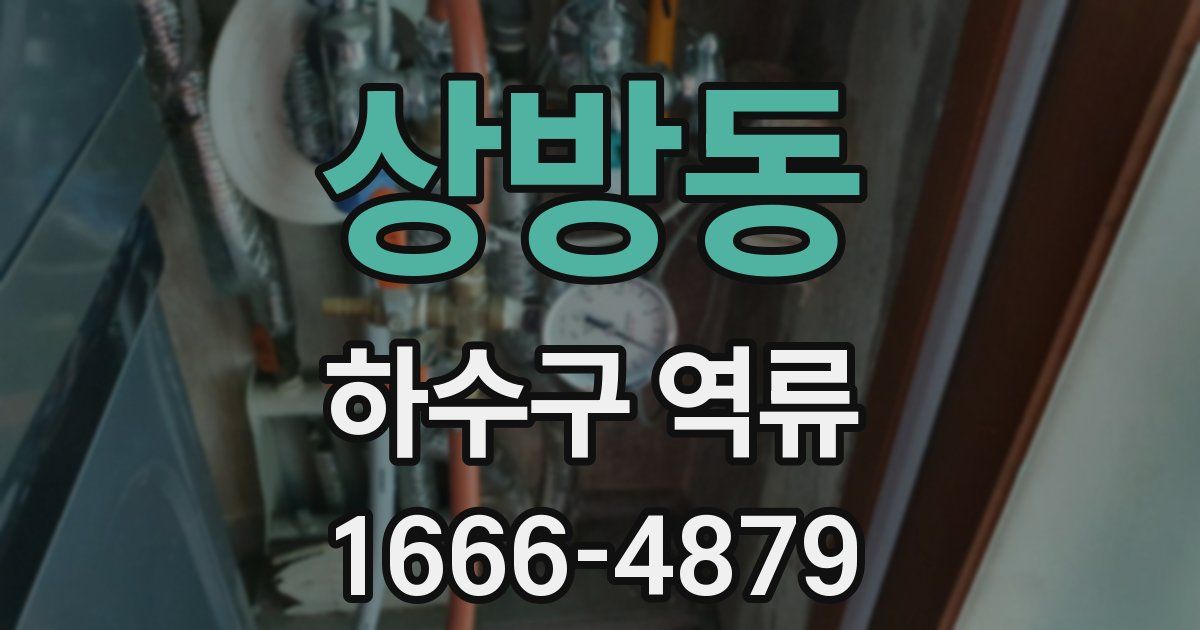 상방동 하수구 역류