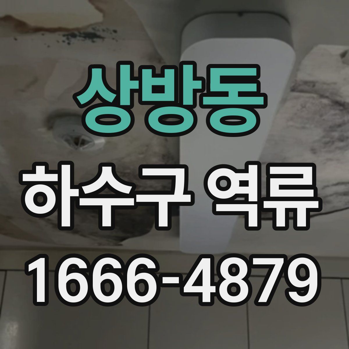 상방동 하수구 역류