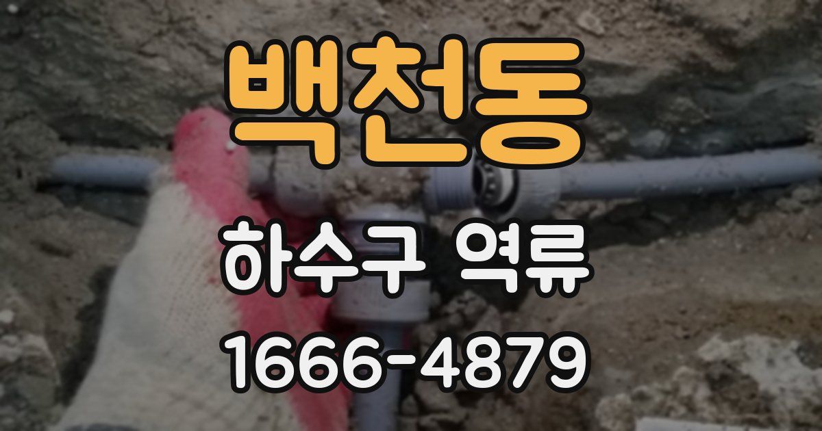 백천동 하수구 역류