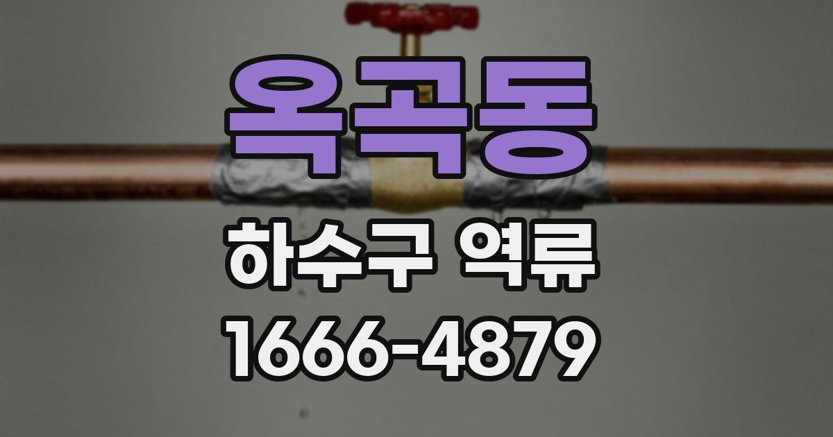 옥곡동 하수구 역류