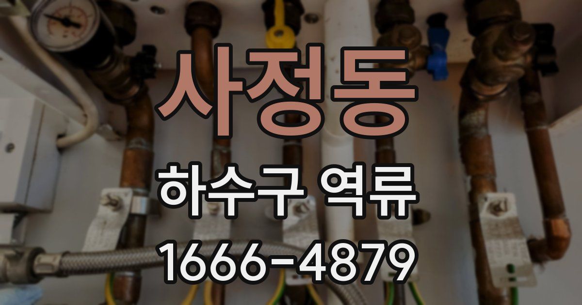 사정동 하수구 역류