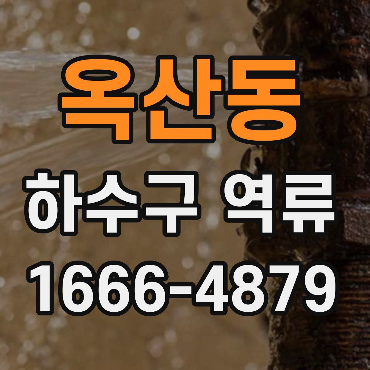 옥산동 하수구 역류