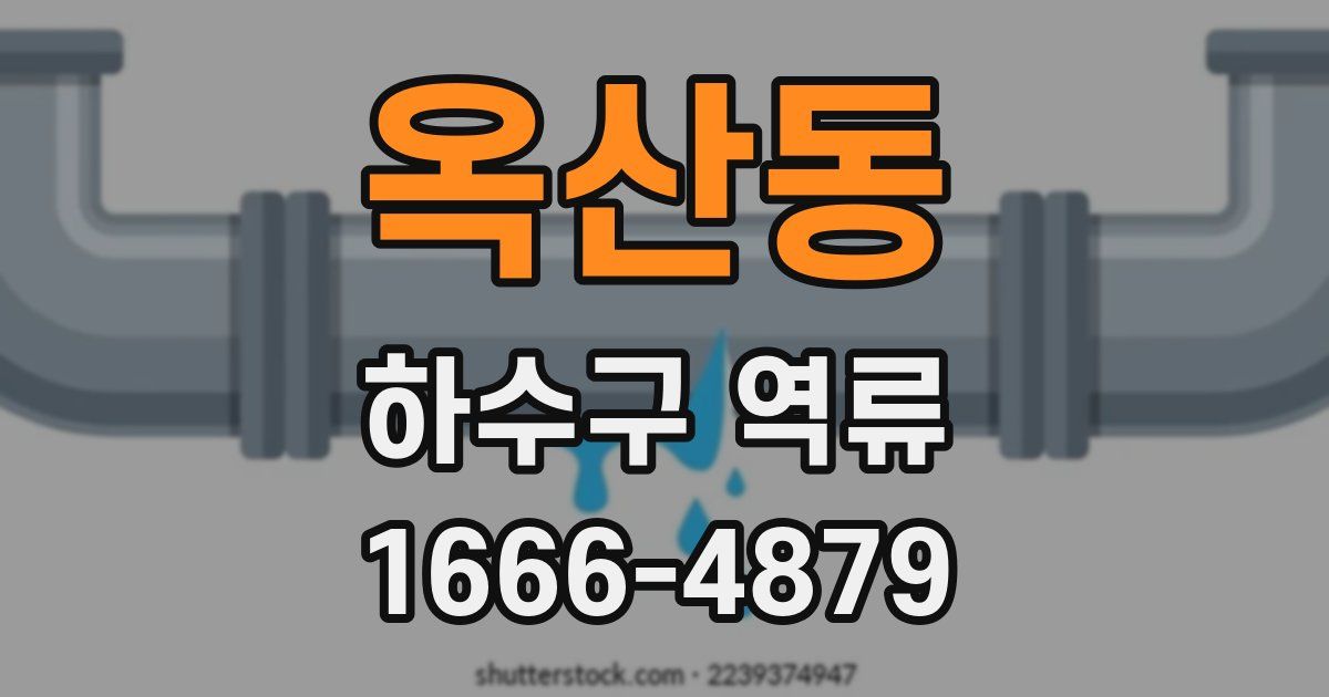 옥산동 하수구 역류