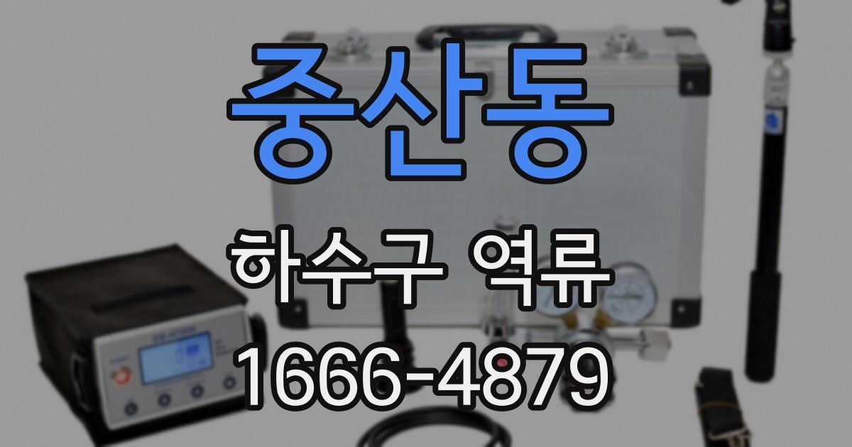 중산동 하수구 역류