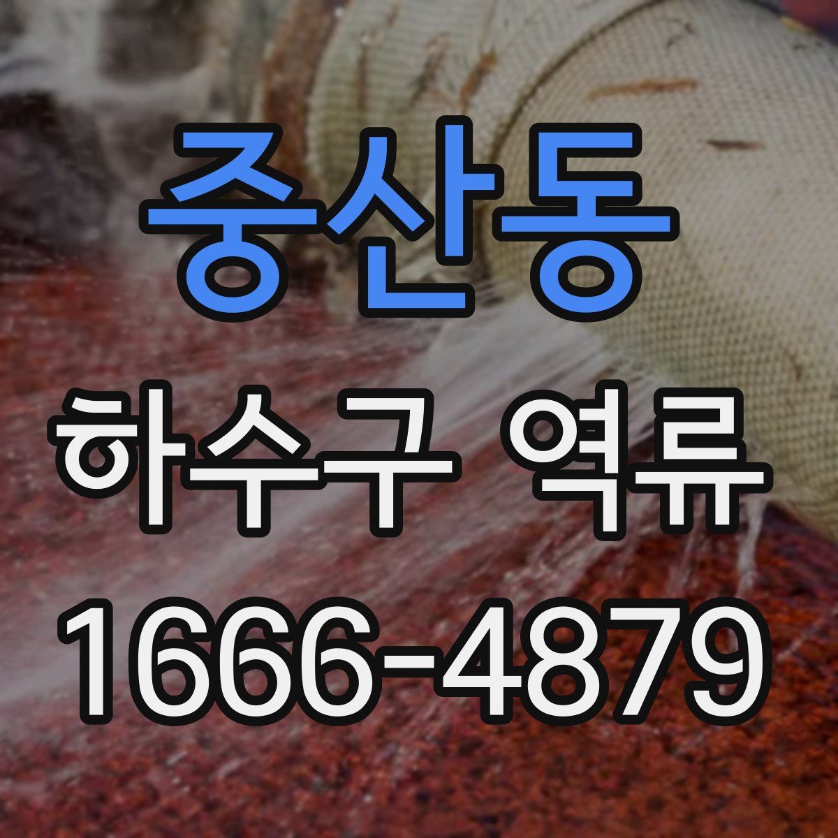 중산동 하수구 역류