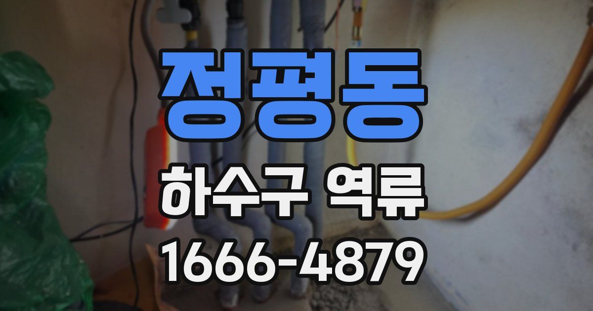 정평동 하수구 역류