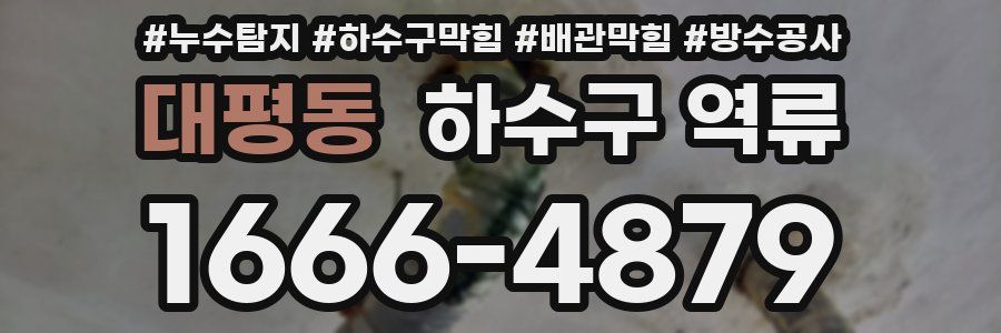 대평동 하수구 역류