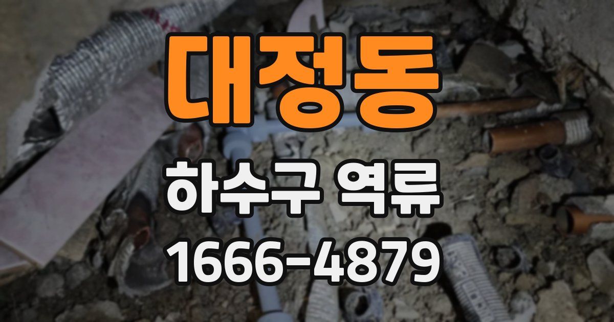 대정동 하수구 역류