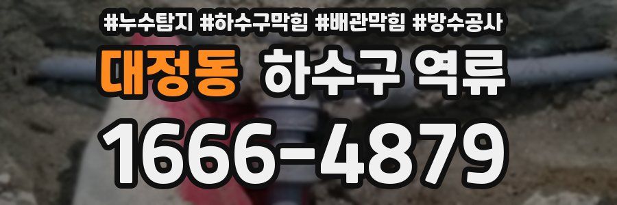 대정동 하수구 역류