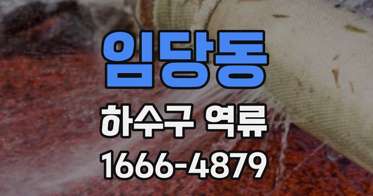 임당동 하수구 역류