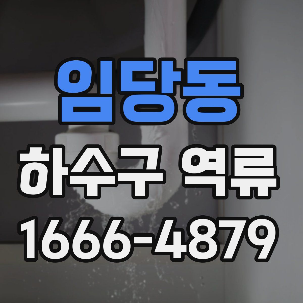 임당동 하수구 역류