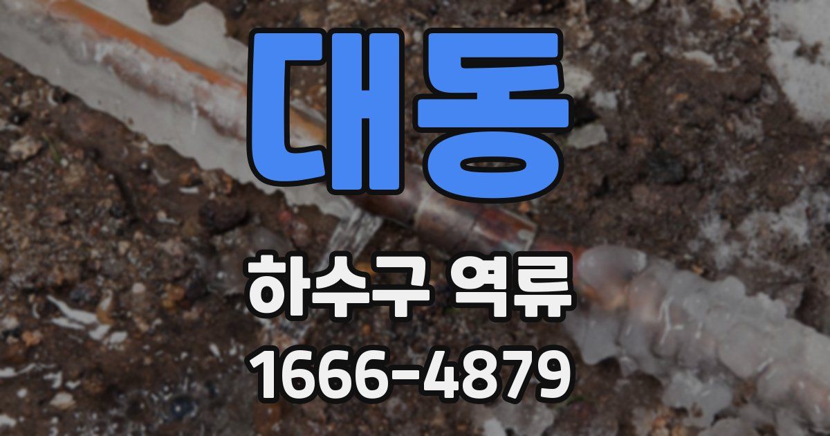 대동 하수구 역류