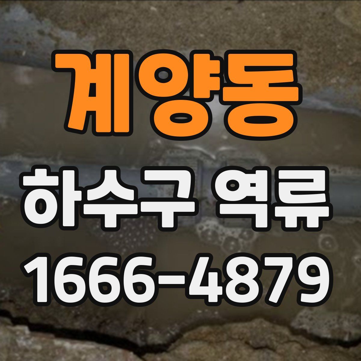 계양동 하수구 역류