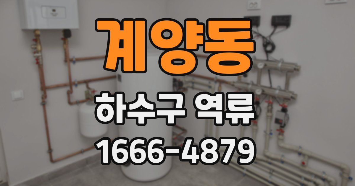 계양동 하수구 역류