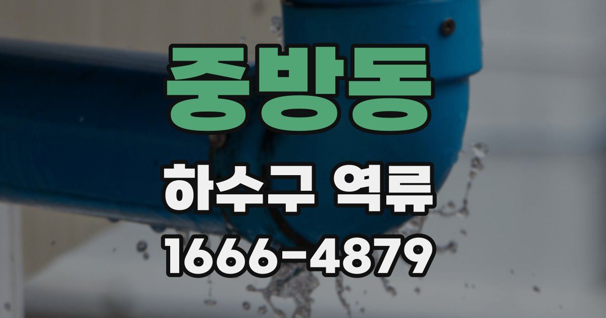 중방동 하수구 역류