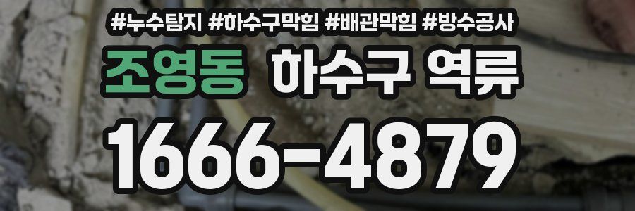 조영동 하수구 역류